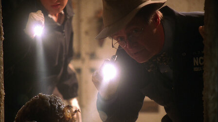 Watch Ncis Netflix